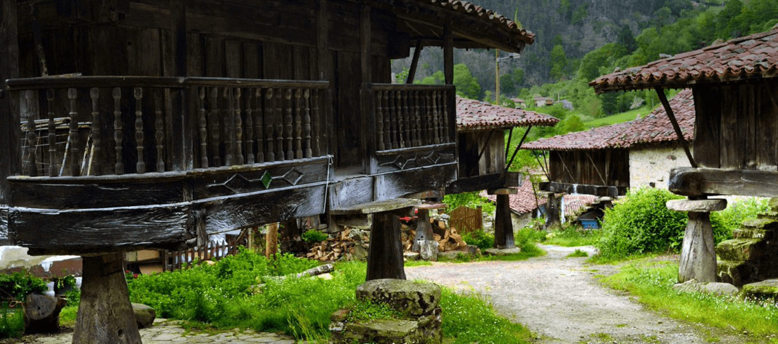 Entorno Casa Rural Espinareu